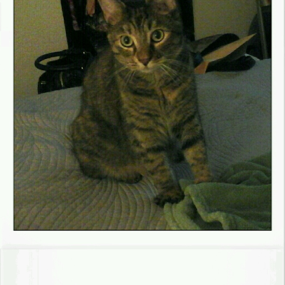 Meet your Posher, Sabina